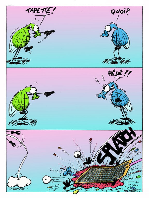 Mouches image drôle https://www.blagues-en-stock.org