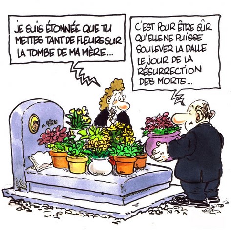 Etonnée que tu mettes tant de fleurs image drôle http://www.blagues-en-stock.org