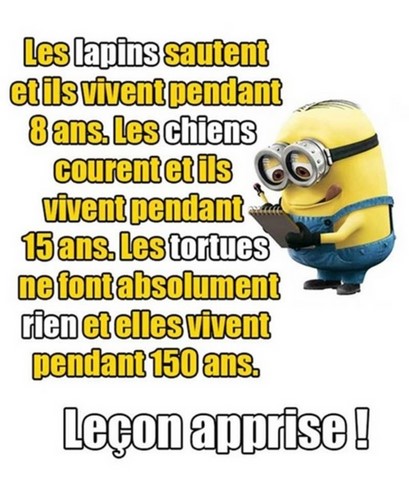 Ne rien faire. Les Minions sur https://www.blagues-en-stock.org