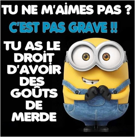 Goûts de merde. Les Minions sur https://www.blagues-en-stock.org