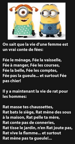 La vie d'une femme est un conte de fées. Les Minions sur https://www.blagues-en-stock.org