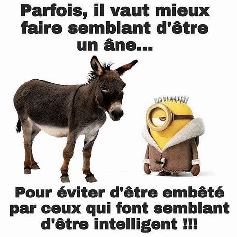 Faire semblant d'être un âne. Les Minions sur https://www.blagues-en-stock.org