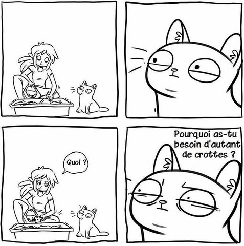 La rentrée scolaire ne fait pas oublier la violence des écoliers. Sur https://www.blagues-en-stock.org