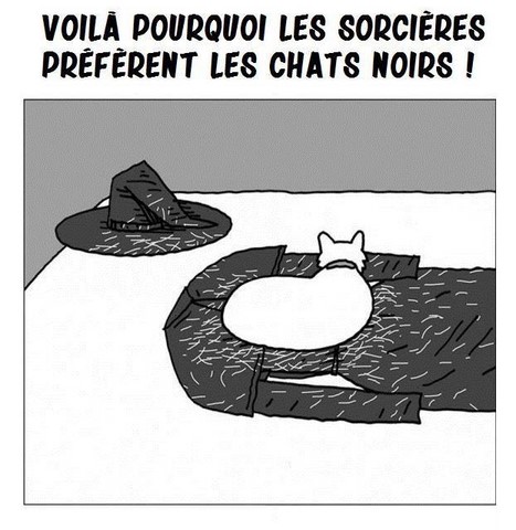 Les chats noirs, blague Halloween https://www.blagues-en-stock.org