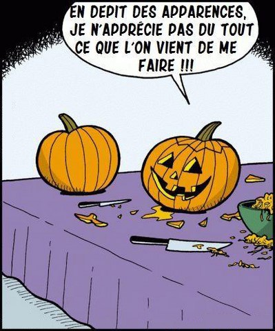 Mécontentement de la citrouille, blague Halloween https://www.blagues-en-stock.org