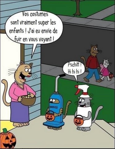 Les chats aussi, blague Halloween https://www.blagues-en-stock.org