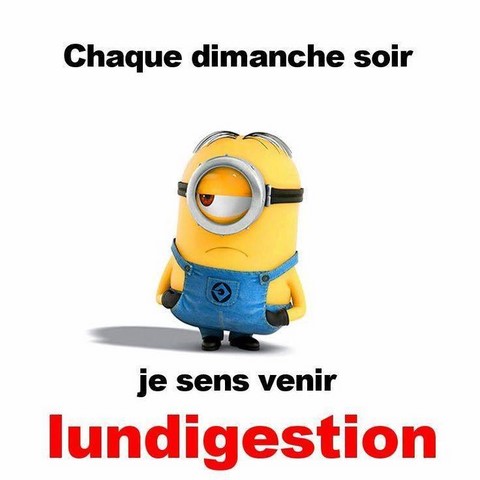 Le dimanche soir. Les Minions sur https://www.blagues-en-stock.org