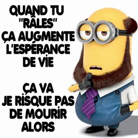 L'espérance de vie. Les Minions sur https://www.blagues-en-stock.org