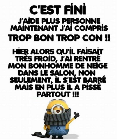 Trop bon trop con. Les Minions sur https://www.blagues-en-stock.org
