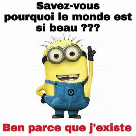 Pourquoi le monde est si beau. Les Minions sur https://www.blagues-en-stock.org