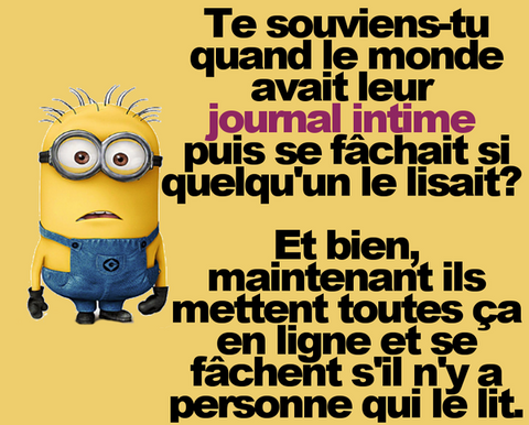 Le journal intime. Les Minions sur https://www.blagues-en-stock.org