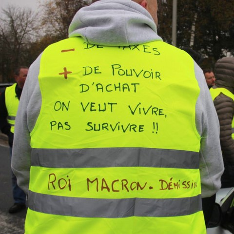 Gilet jaune image cocasse sur https://www.blagues-en-stock.org