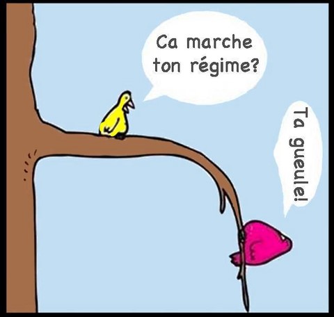 Régime image drôle http://www.blagues-en-stock.org