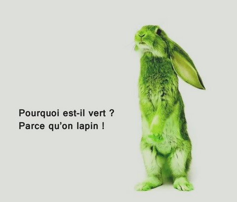 Lapin vert image drôle https://www.blagues-en-stock.org